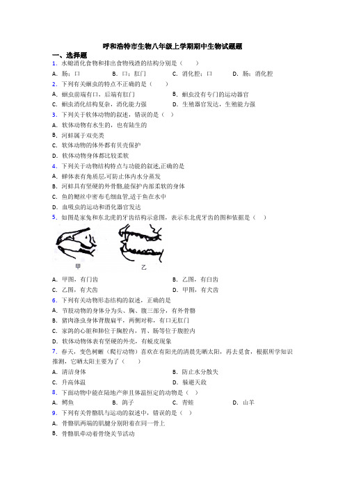 呼和浩特市生物八年级上学期期中生物试题题