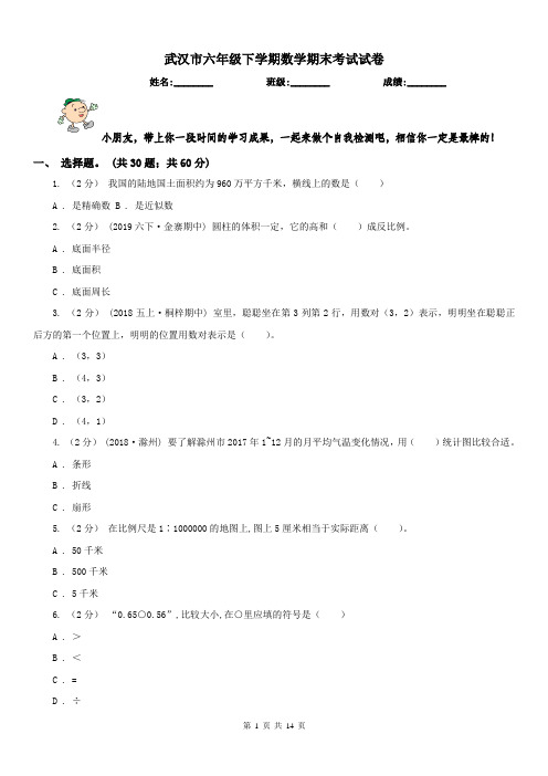 武汉市六年级下学期数学期末考试试卷