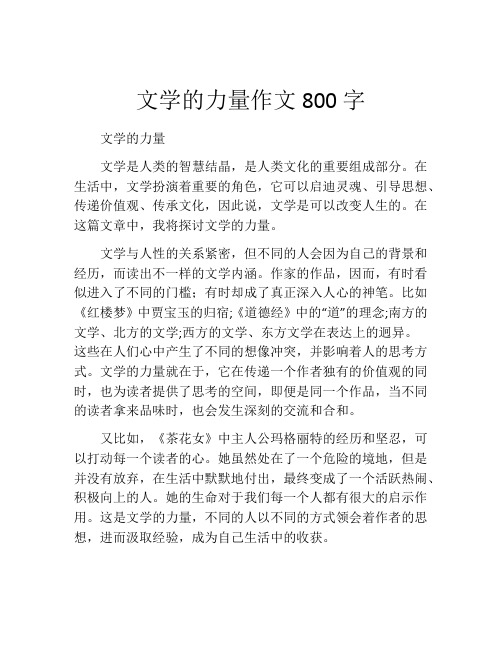 文学的力量作文800字