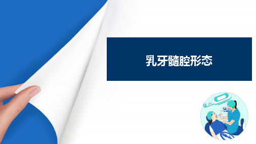 乳牙及年轻恒牙的解剖形态与组织结构特点 乳牙髓腔特点