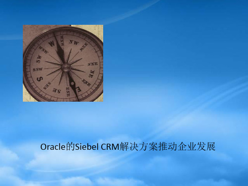 Oracle的SiebelCRM解决方案