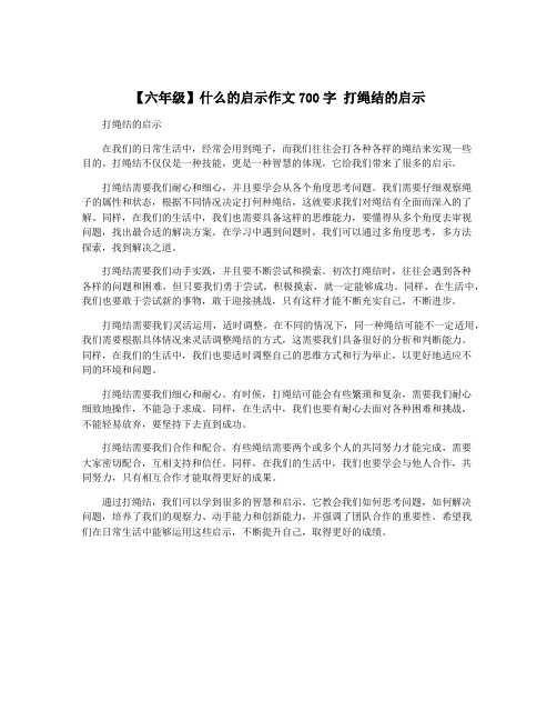 【六年级】什么的启示作文700字 打绳结的启示