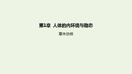 新教材高中生物人体的内环境与稳态章末总结课件新人教版选择性必修