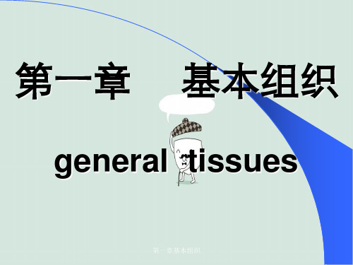 第一章基本组织