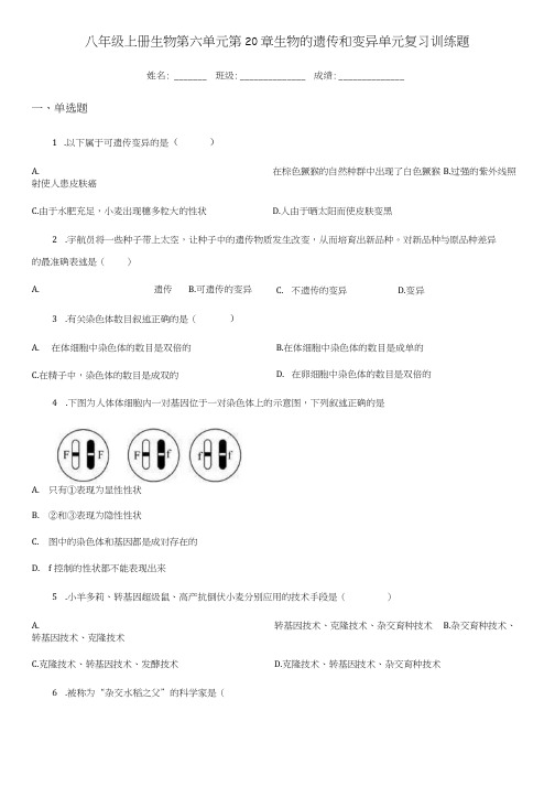 八年级上册生物 第六单元 第20章 生物的遗传和变异 单元复习训练题.docx