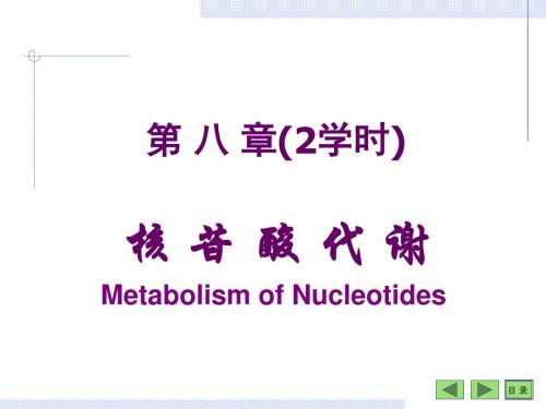 第08章核苷酸生物化学