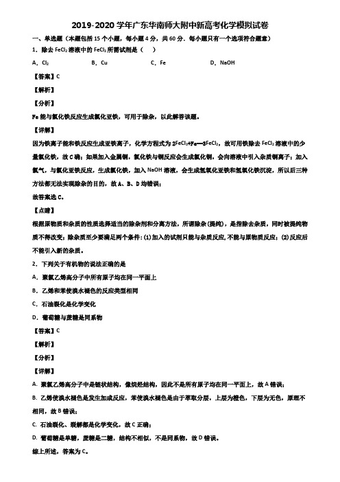 2019-2020学年广东华南师大附中新高考化学模拟试卷含解析