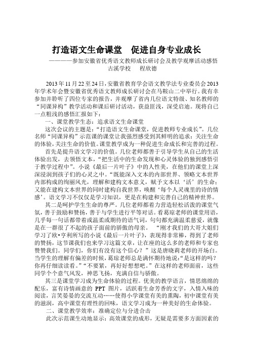 马鞍山研讨会学习心得   程欣德