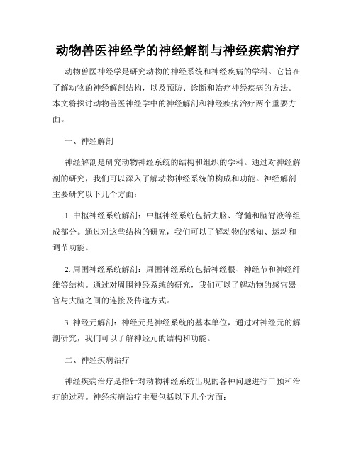 动物兽医神经学的神经解剖与神经疾病治疗