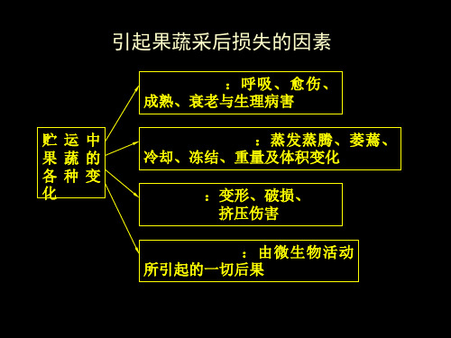 果蔬采后病害及防治