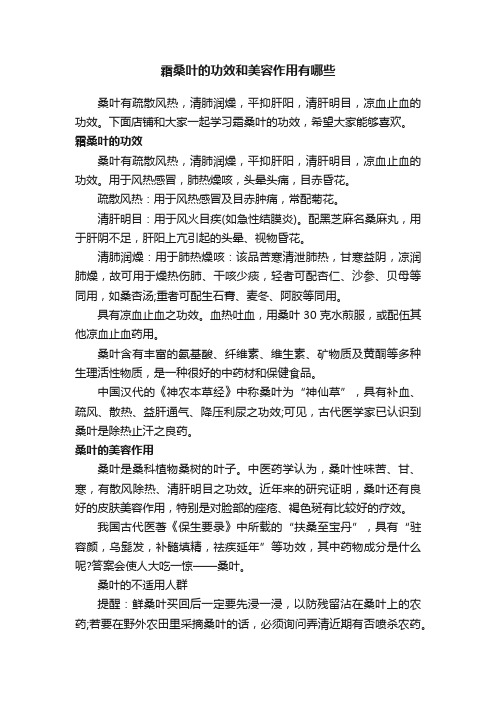 霜桑叶的功效和美容作用有哪些