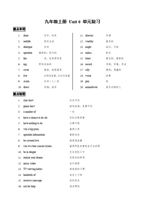 Unit6单元复习2023-2024学年牛津译林版九年级英语上册