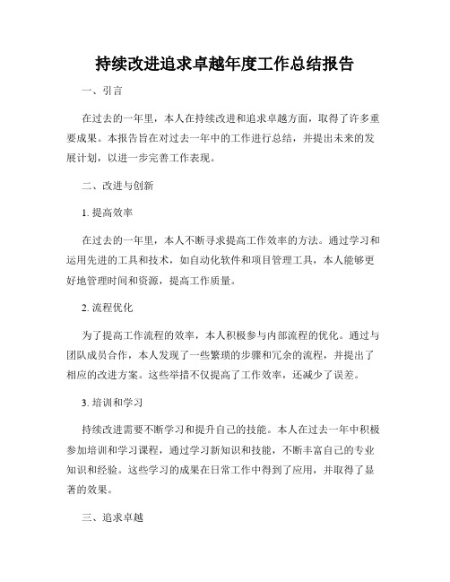 持续改进追求卓越年度工作总结报告