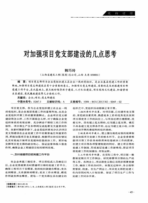 对加强项目党支部建设的几点思考