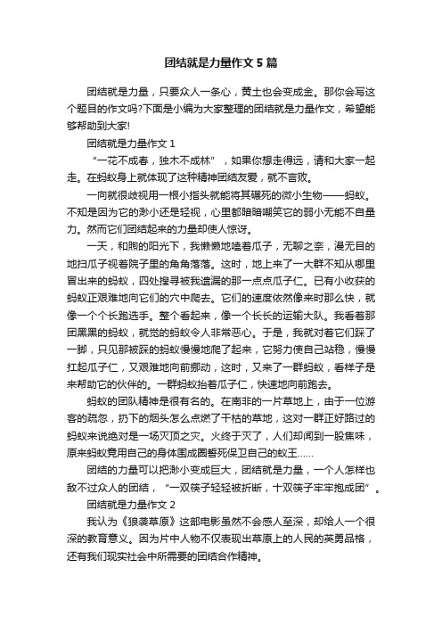 团结就是力量作文5篇