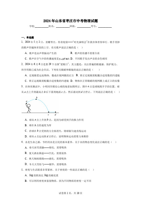 【中考真题】2024年山东省枣庄市中考物理试卷(附答案)