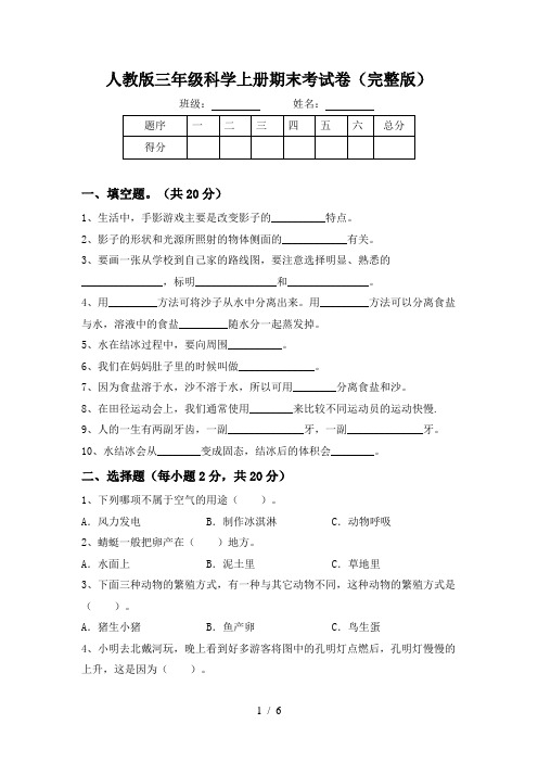 2024更新-人教版三年级科学上册期末考试卷(可打印)