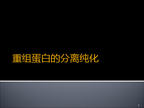 重组蛋白的分离纯化PPT课件