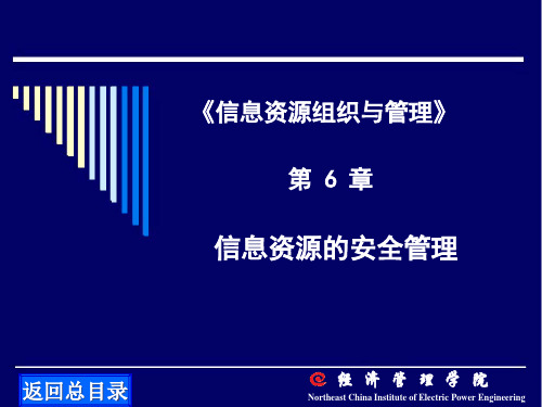 信息组织第六章信息资源的安全管理