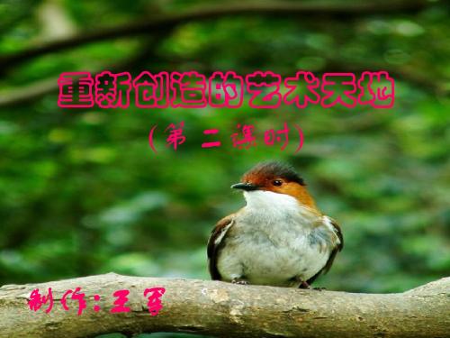 《重新创造的艺术天地》课件3