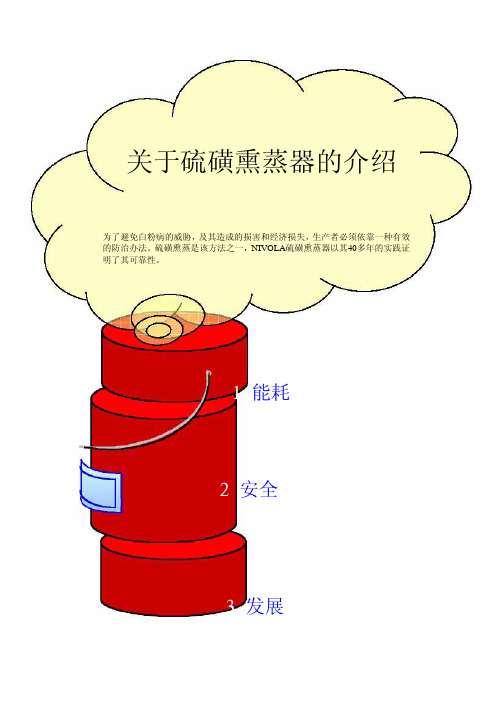 关于硫磺熏蒸器的介绍