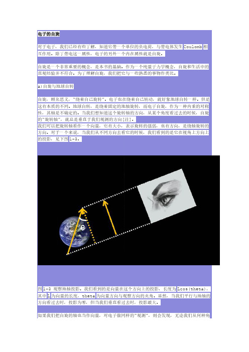 自旋 我们生活在一个怎样的世界里