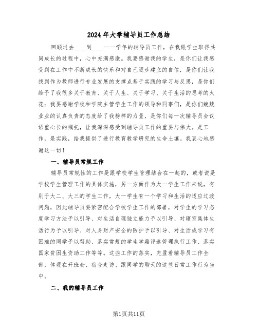 2024年大学辅导员工作总结(5篇)