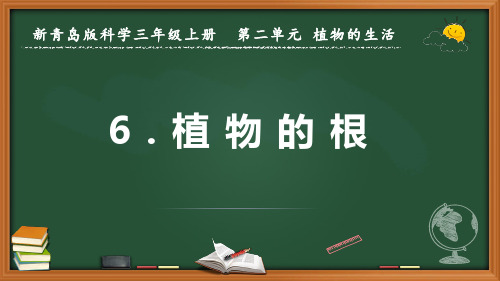 2022-2023学年新青岛版科学三年级上册《植物的根》优质课件