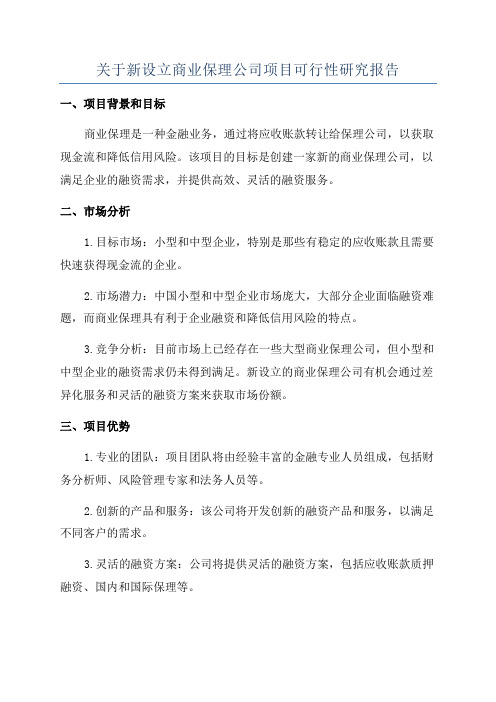 关于新设立商业保理公司项目可行性研究报告