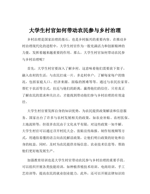 大学生村官如何带动农民参与乡村治理