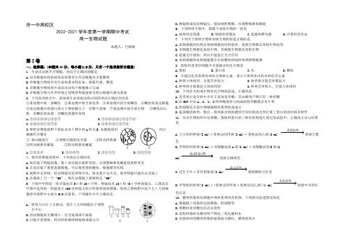 陕西省西安市第一中学2022-2021学年高一上学期期中考试生物试题 Word版含答案