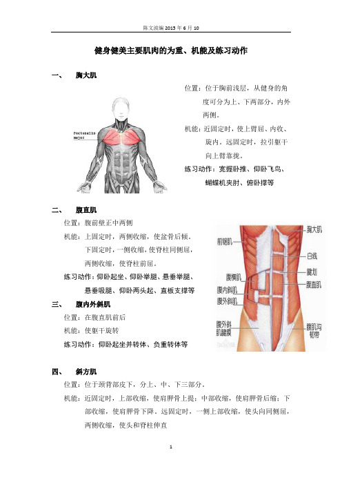 健身健美主要肌肉的位置、机能及联系动作