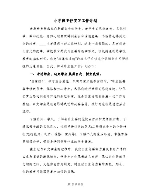 小学班主任实习工作计划（五篇）