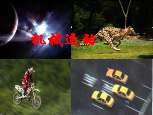 中考物理复习 物体的运动物理课件