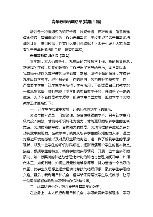 青年教师培训总结（精选4篇）