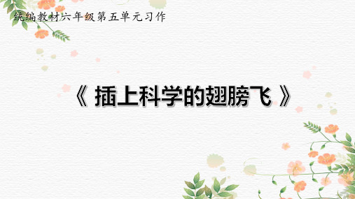 部编版小学语文《插上科学的翅膀飞》优质课PPT课件