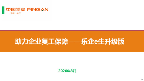 平安助力企业复工保障乐企e生升级版特点12页