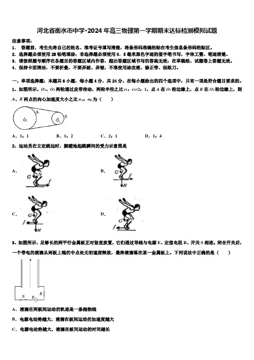 河北省衡水市中学·2024年高三物理第一学期期末达标检测模拟试题含解析