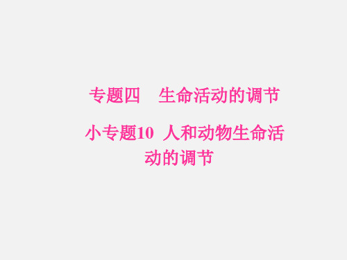 高考生物 二轮复习 生命活动的调节 小专题10 人和动物生命活动的调节