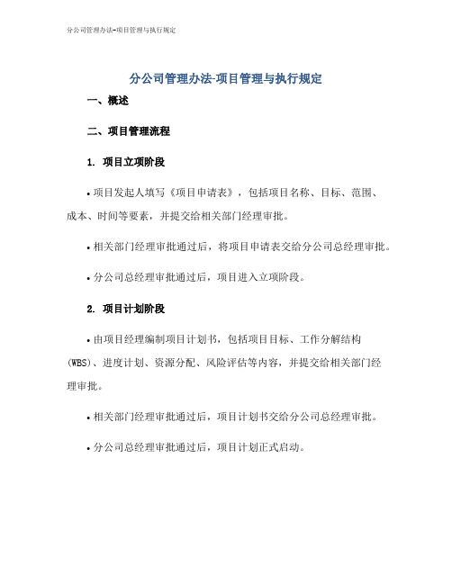 分公司管理办法-项目管理与执行规定