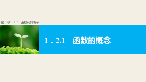 高中数学(人教版A版必修一)配套课件：第一章 集合与函数的概念 1.2.1