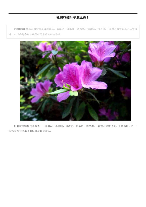 杜鹃花掉叶子怎么办