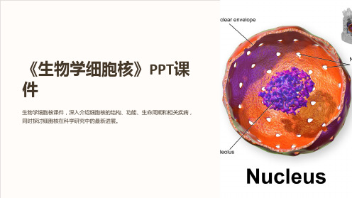 《生物学细胞核》课件