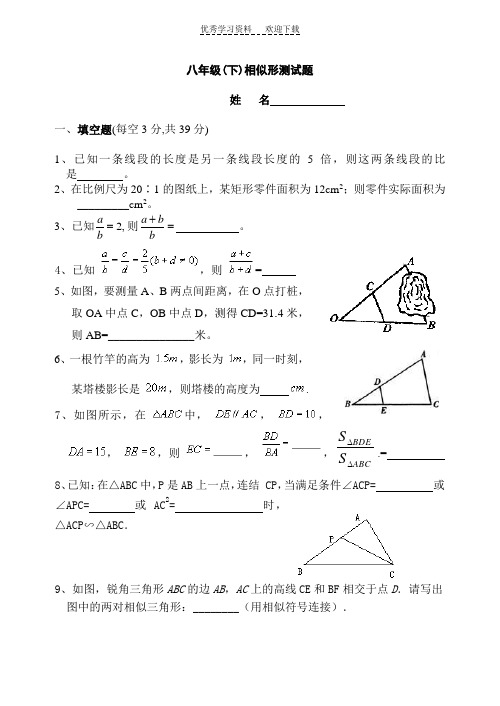 八年级(下)相似形测试题