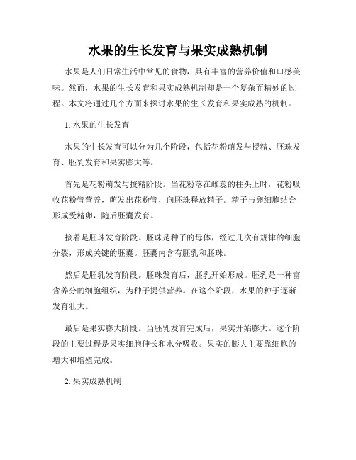 水果的生长发育与果实成熟机制