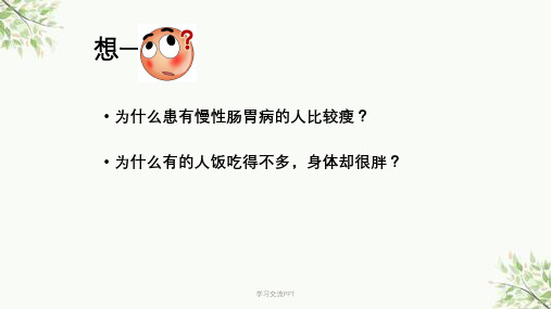 消化和吸收ppt课件