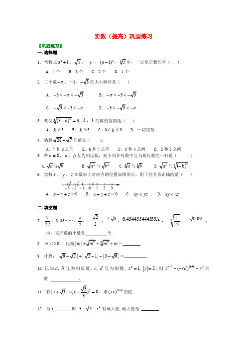 北京四中中考数学专练总复习 实数(提高)巩固练习
