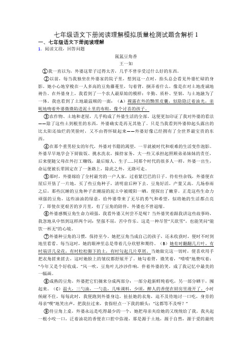 七年级语文下册阅读理解模拟质量检测试题含解析1