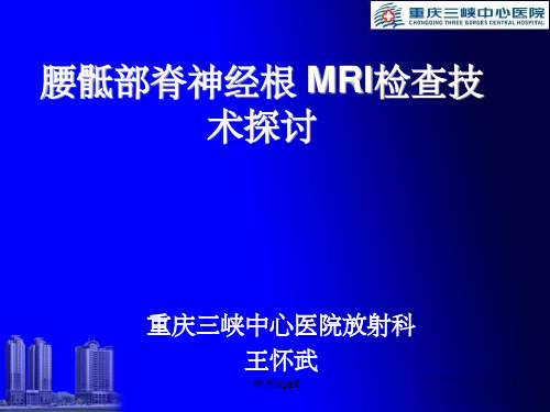 腰骶部脊神经根 MRI检查技术探讨