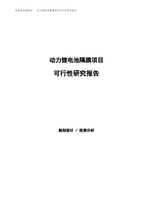 动力锂电池隔膜项目可行性研究报告范本参考2020